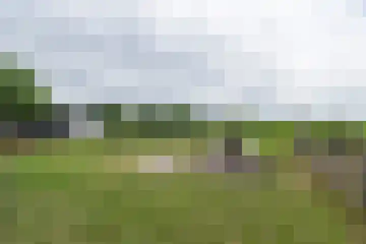 van Aylvaweg 62 Witmarsum thumbnail 69