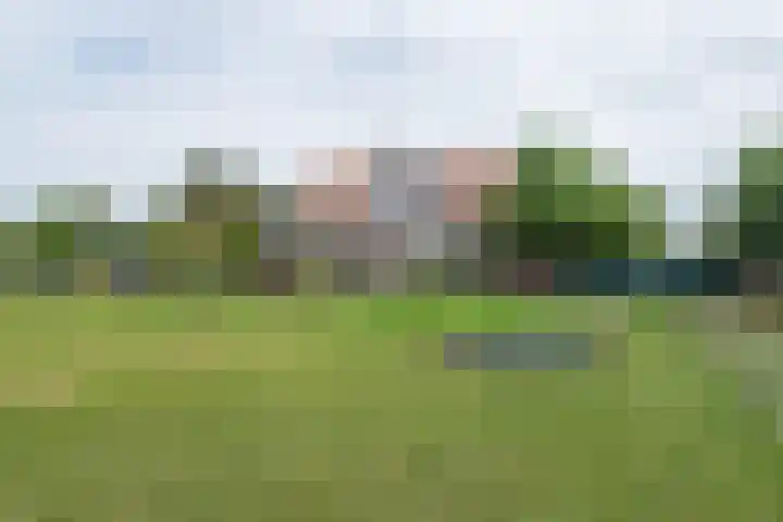 van Aylvaweg 62 Witmarsum thumbnail 70