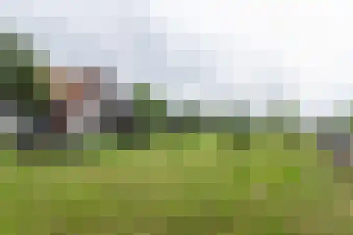 van Aylvaweg 62 Witmarsum thumbnail 71