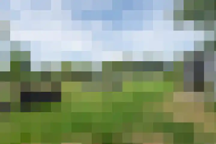 van Aylvaweg 62 Witmarsum thumbnail 72