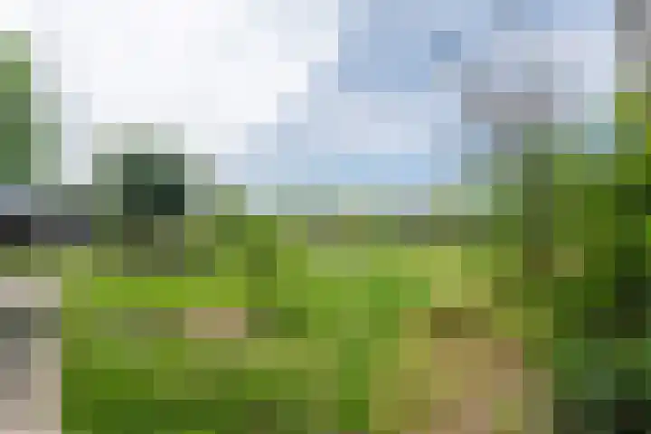 van Aylvaweg 62 Witmarsum thumbnail 73
