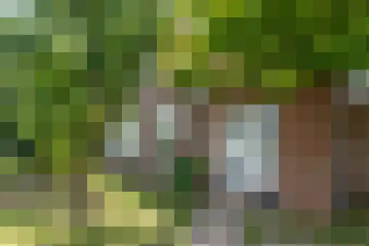 van Aylvaweg 62 Witmarsum thumbnail 8
