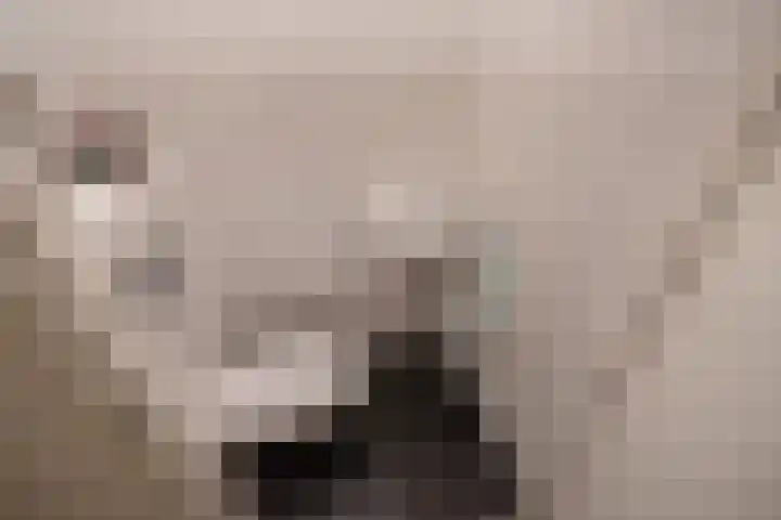 Van Baaklaan 12 Den Haag thumbnail 11