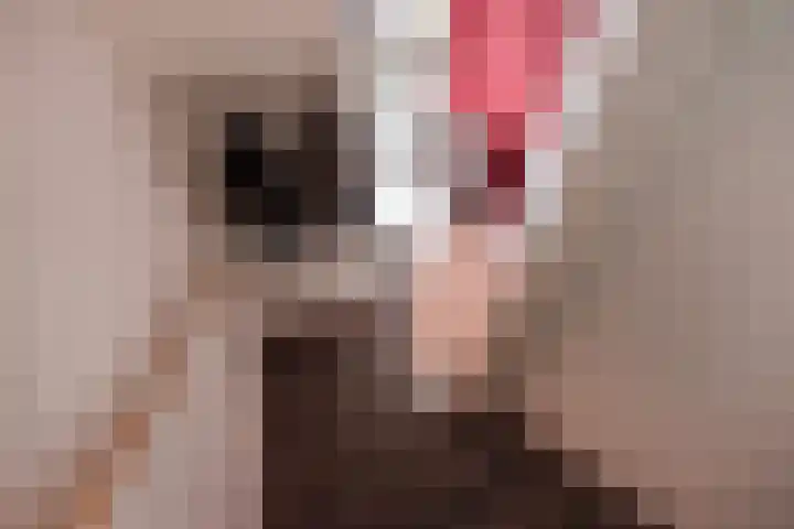 Van Baaklaan 12 Den Haag thumbnail 12