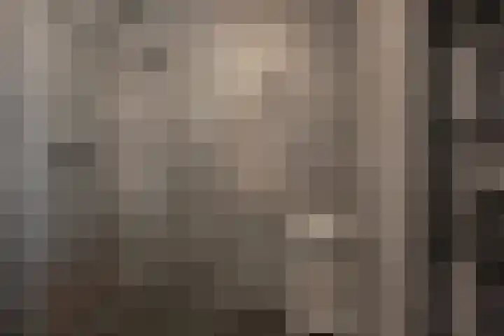 Van Baaklaan 12 Den Haag thumbnail 16