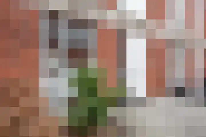Van Baaklaan 12 Den Haag thumbnail 25
