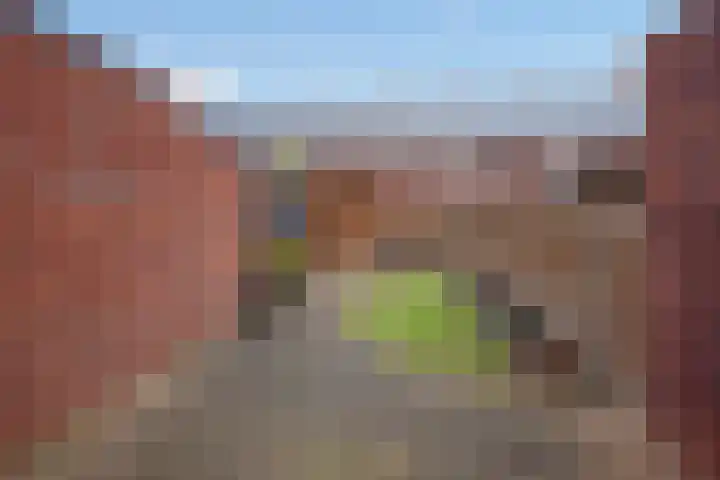 Van Baaklaan 12 Den Haag thumbnail 27