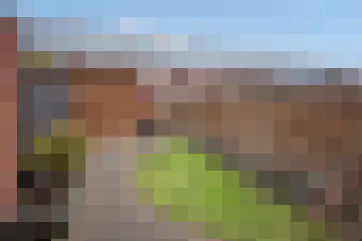 Van Baaklaan 12 Den Haag thumbnail 28