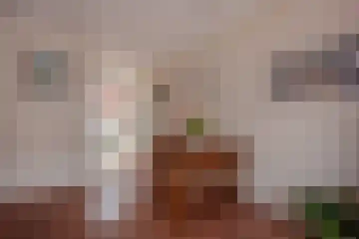 Van Baaklaan 12 Den Haag thumbnail 9