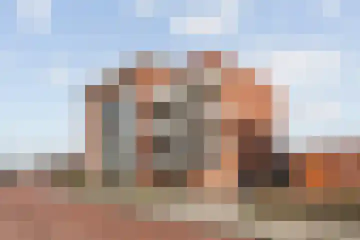 Van Baaklaan 19 in Den Haag