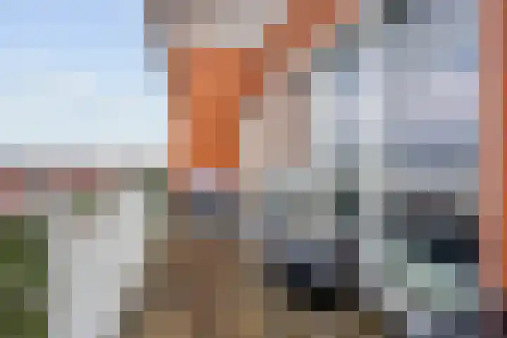 Van Baaklaan 19 Den Haag thumbnail 10