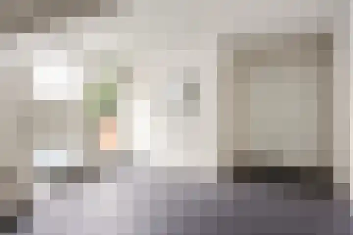 Van Baaklaan 19 Den Haag thumbnail 24