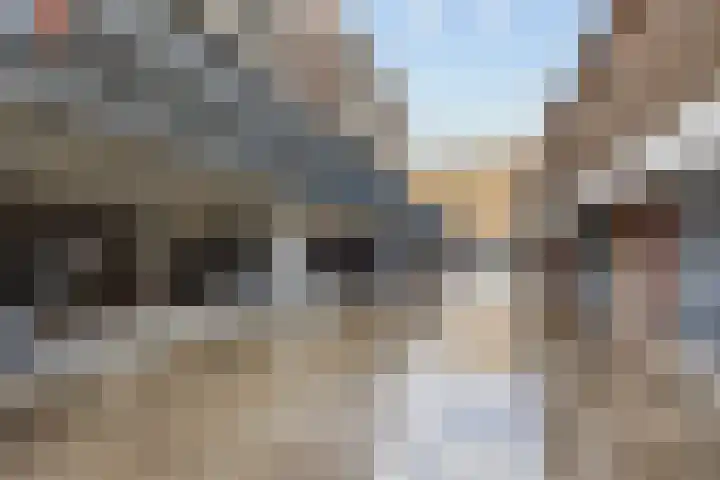 Van Baaklaan 19 Den Haag thumbnail 26