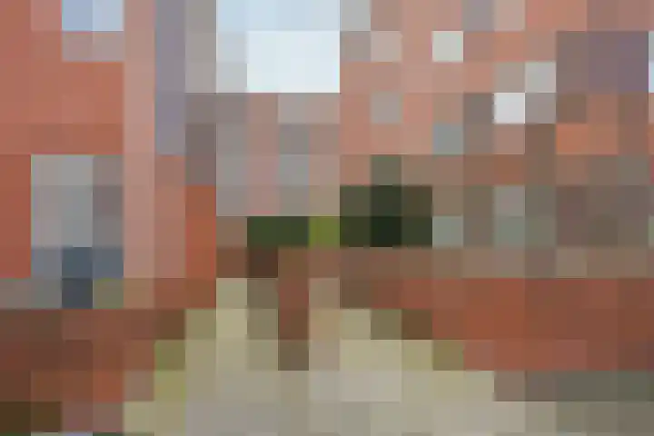 Van Baaklaan 19 Den Haag thumbnail 27