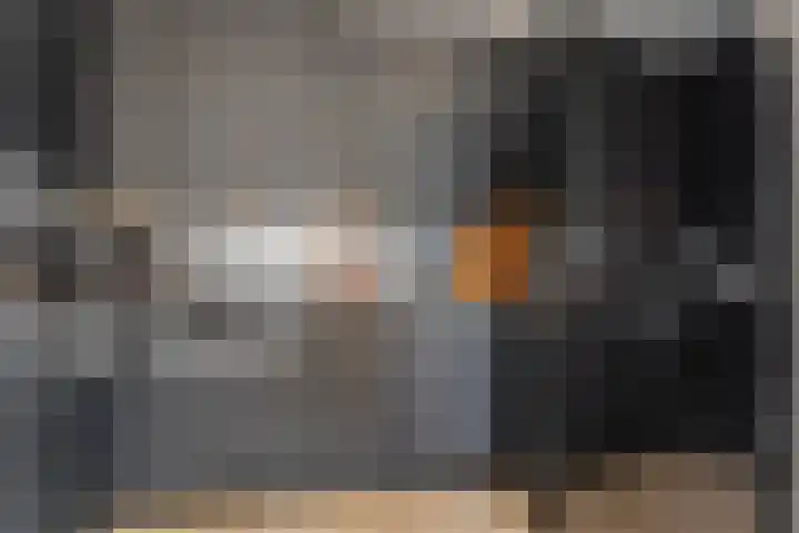 Van Baaklaan 19 Den Haag thumbnail 8
