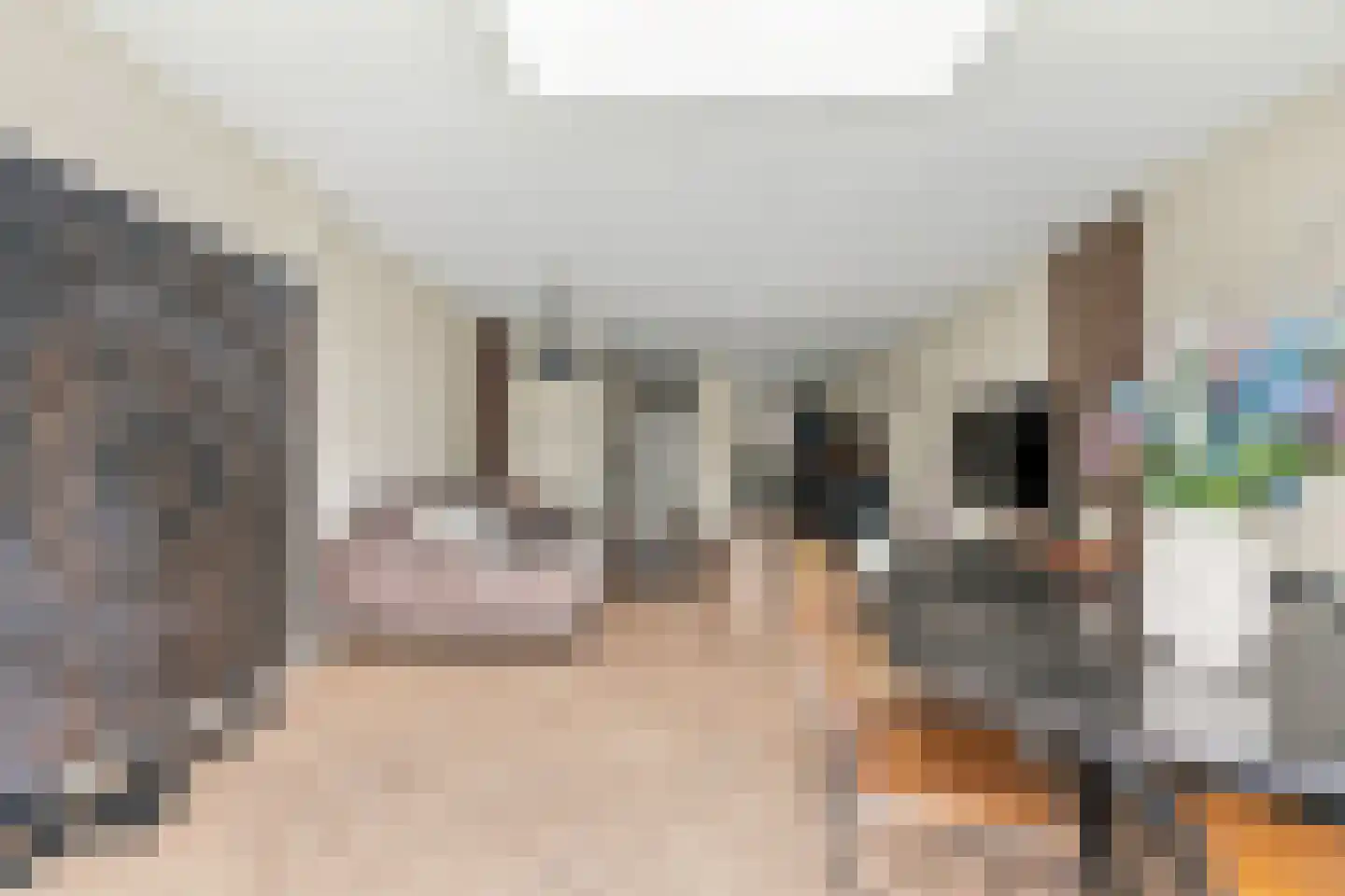 Van Baaklaan 38 Den Haag thumbnail 13