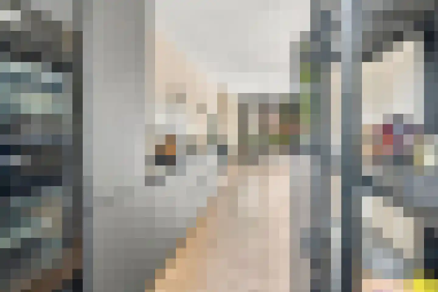 Van Baaklaan 38 Den Haag thumbnail 17