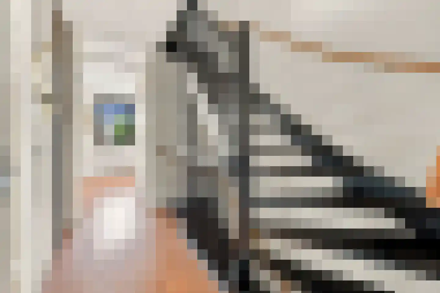 Van Baaklaan 38 Den Haag thumbnail 18