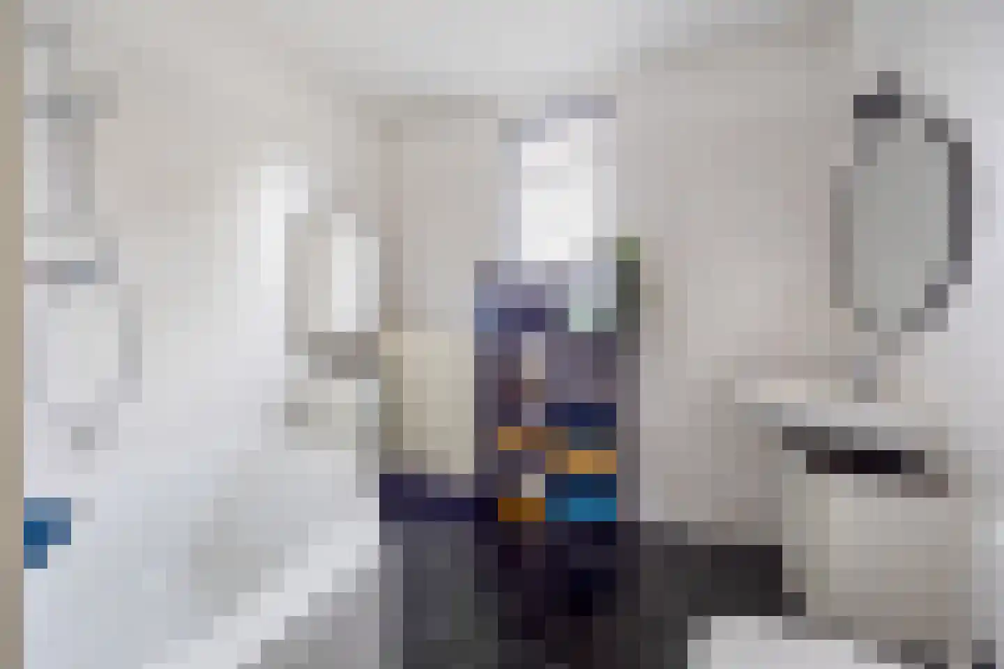 Van Baaklaan 38 Den Haag thumbnail 20