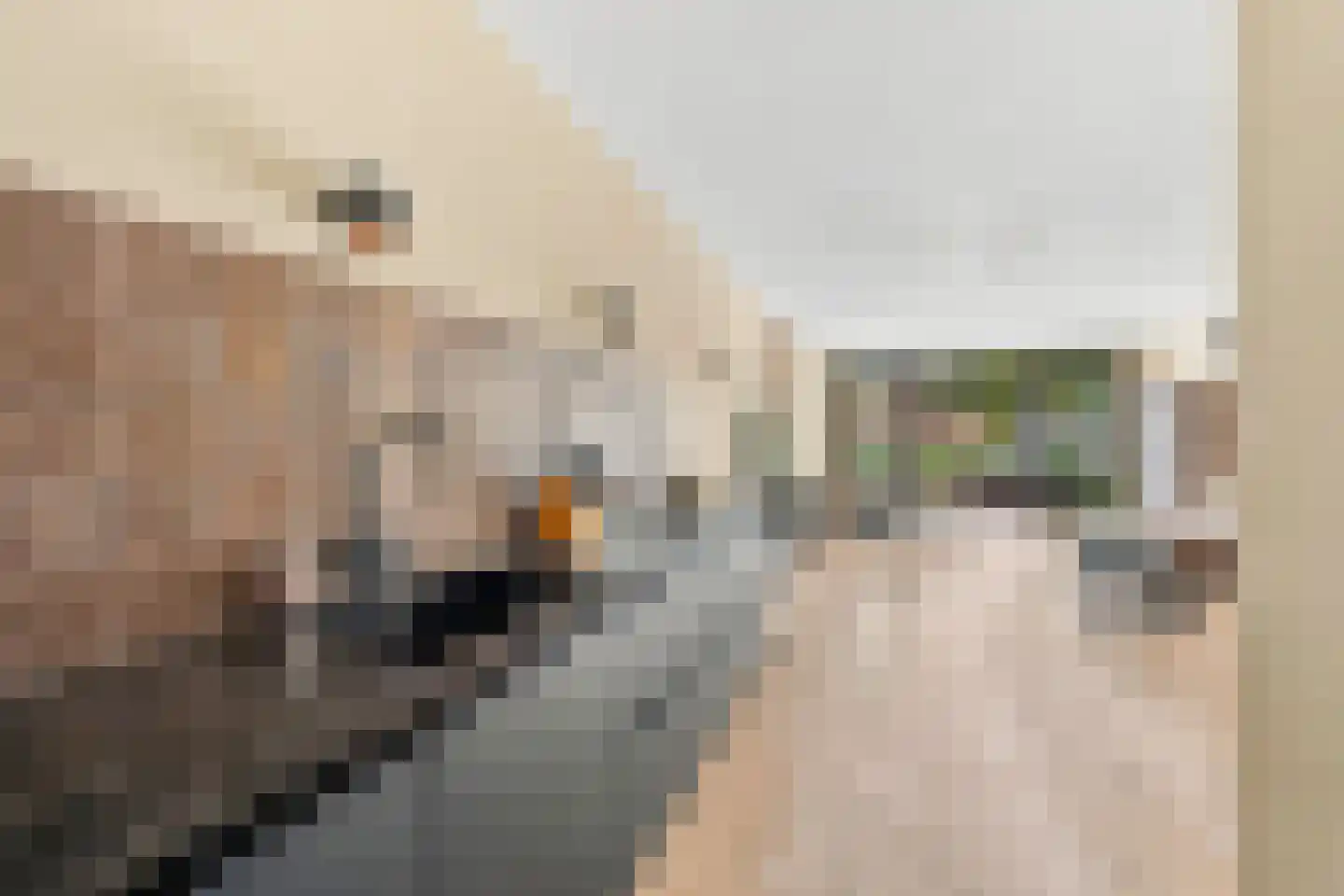 Van Baaklaan 38 Den Haag thumbnail 4