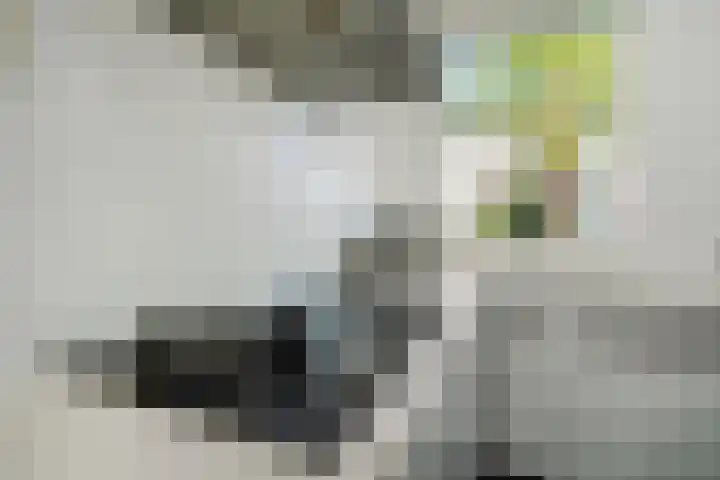 Van Baaklaan 51 Den Haag thumbnail 22