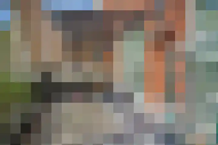 Van Baaklaan 51 Den Haag thumbnail 42
