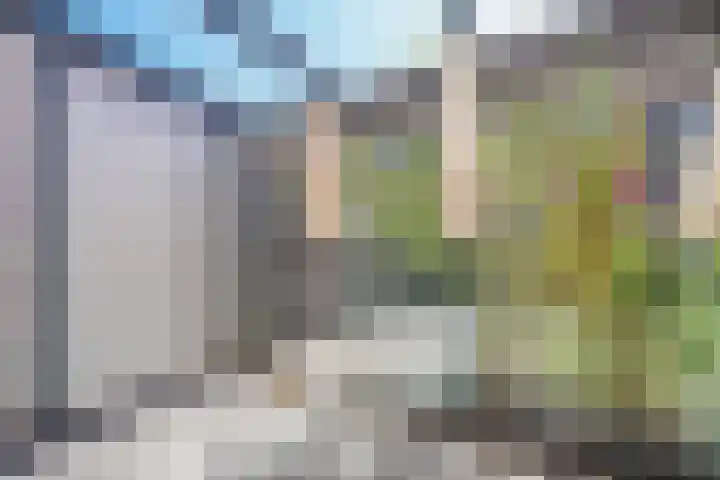 Van Baaklaan 51 Den Haag thumbnail 45