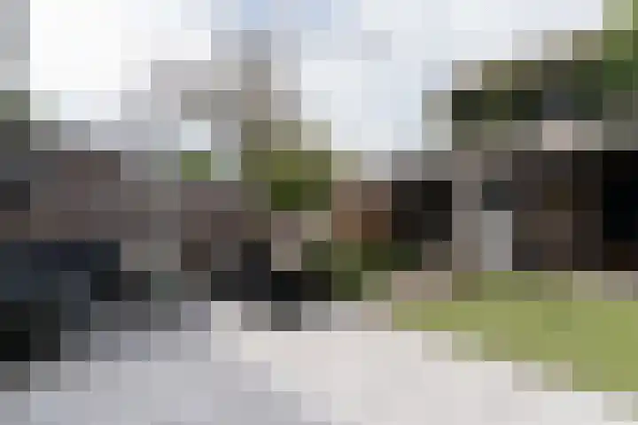 van Baerlehof 70 Hendrik-Ido-Ambacht thumbnail 34