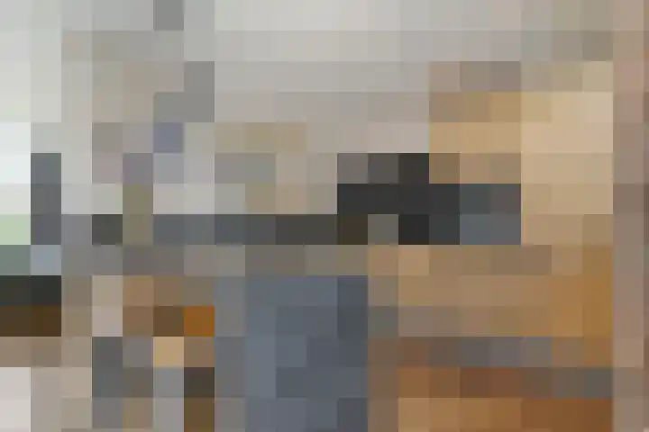 van Baerlehof 70 Hendrik-Ido-Ambacht thumbnail 5