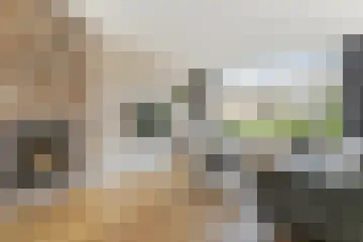 van Baerlehof 70 Hendrik-Ido-Ambacht thumbnail 8