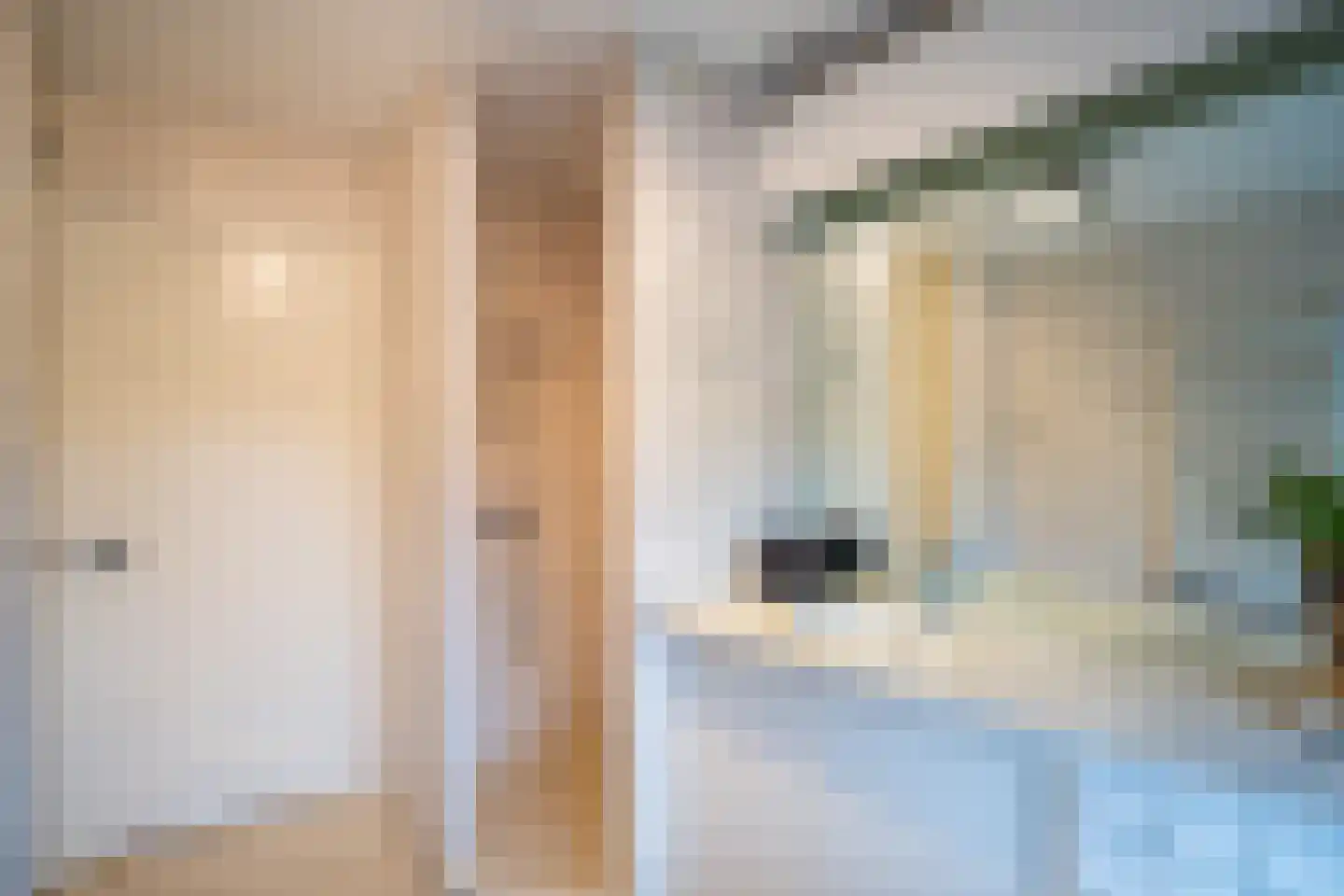 Van Baerlestraat 1 1 Amsterdam thumbnail 30