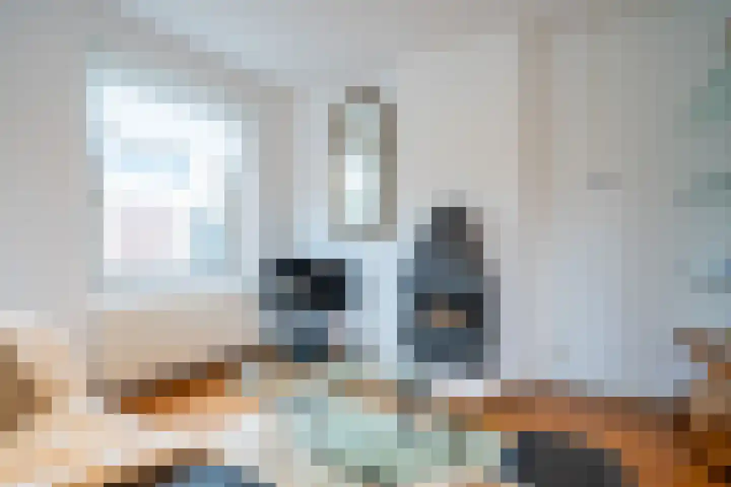 Van Baerlestraat 1 1 Amsterdam thumbnail 7