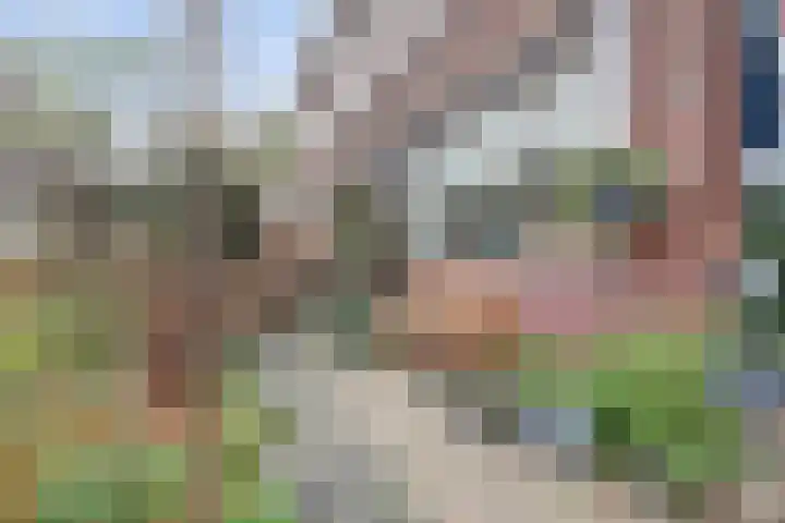 van Baerlestraat 11 Gouda thumbnail 6