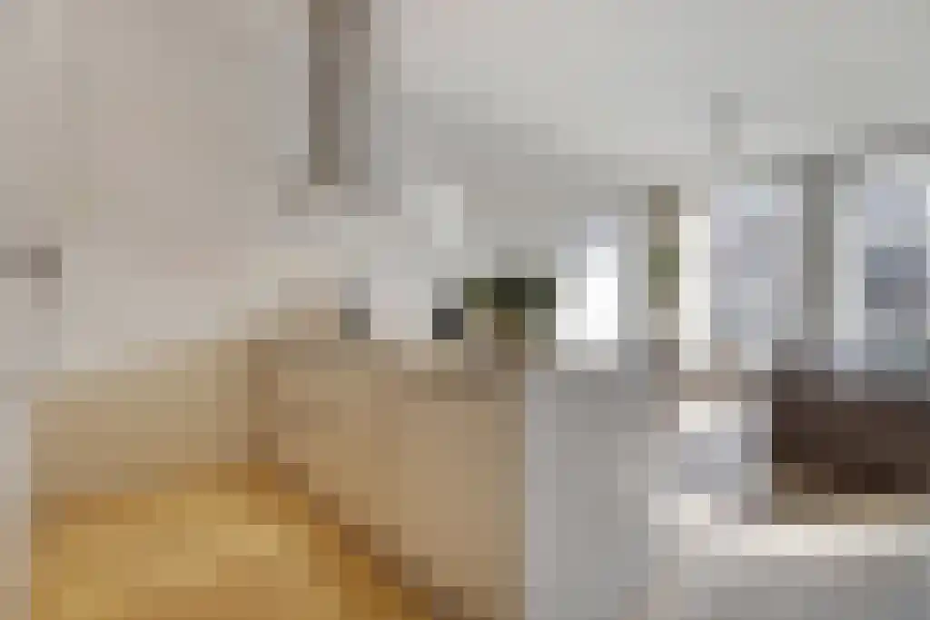 Van Baerlestraat 116 2 Amsterdam thumbnail 6
