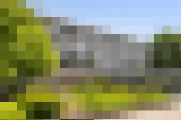 van Baerlestraat 139 in Vlaardingen