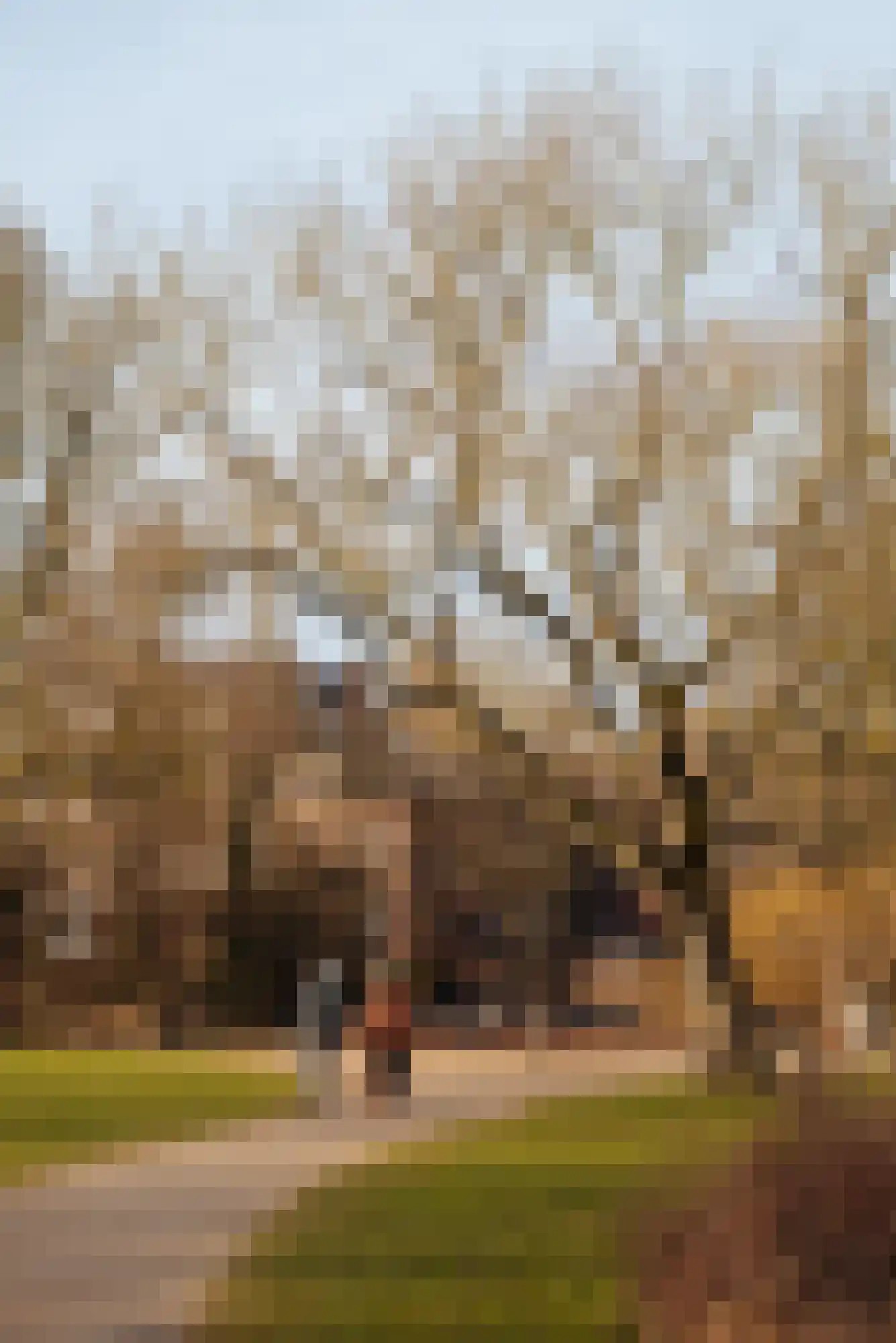 Van Baerlestraat 14 2 Amsterdam thumbnail 31