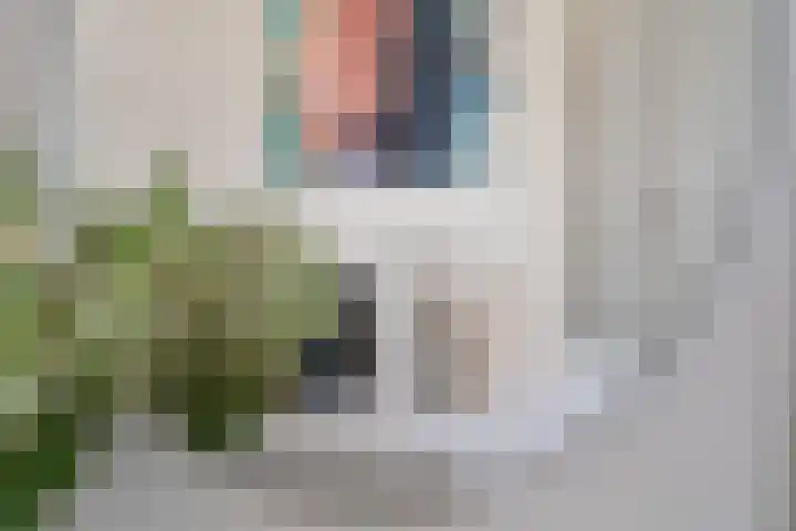 Van Baerlestraat 14 H Amsterdam thumbnail 20
