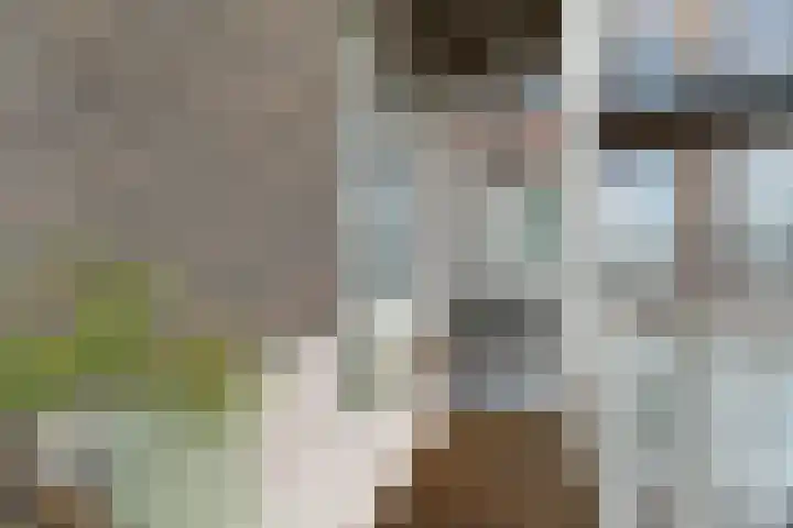 Van Baerlestraat 14 H Amsterdam thumbnail 24