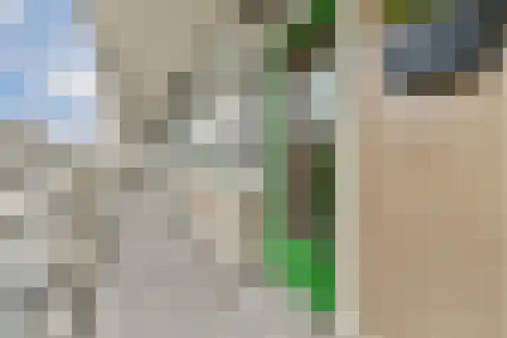 van Baerlestraat 161 Vlaardingen thumbnail 8
