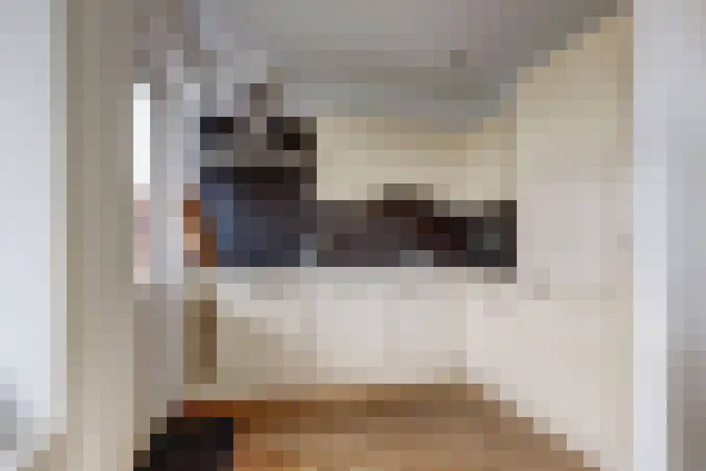 van Baerlestraat 24 Gouda thumbnail 5