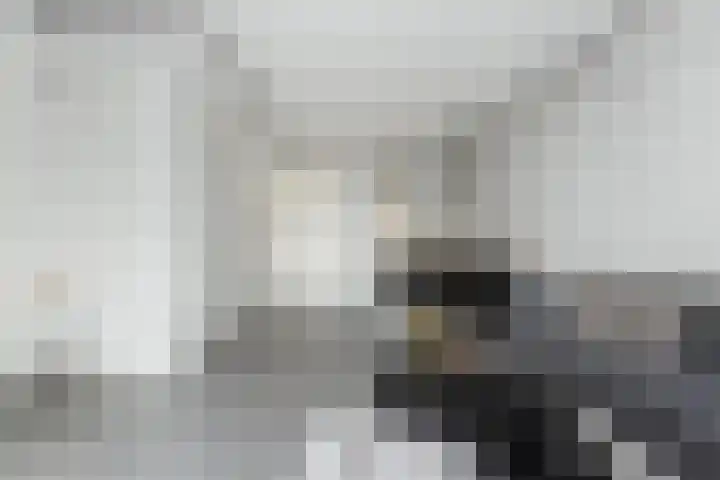 van Baerlestraat 247 Vlaardingen thumbnail 11