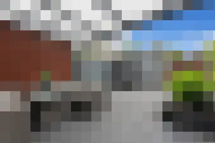 van Baerlestraat 247 Vlaardingen thumbnail 21