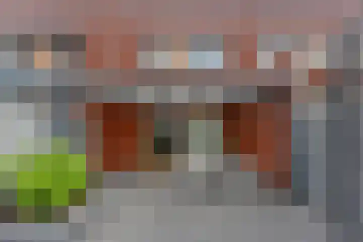van Baerlestraat 247 Vlaardingen thumbnail 24