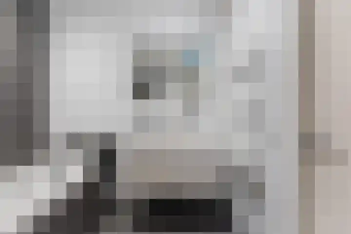 van Baerlestraat 247 Vlaardingen thumbnail 32