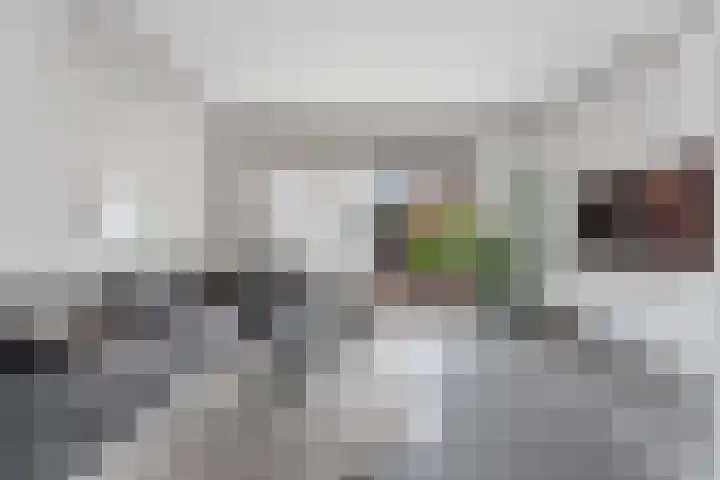 van Baerlestraat 247 Vlaardingen thumbnail 5