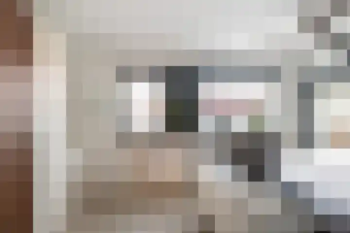van Baerlestraat 249 Vlaardingen thumbnail 21