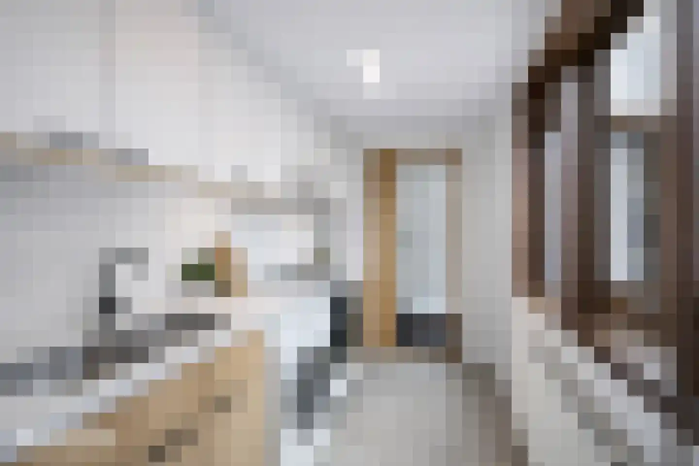 van Baerlestraat 28 Gouda thumbnail 22