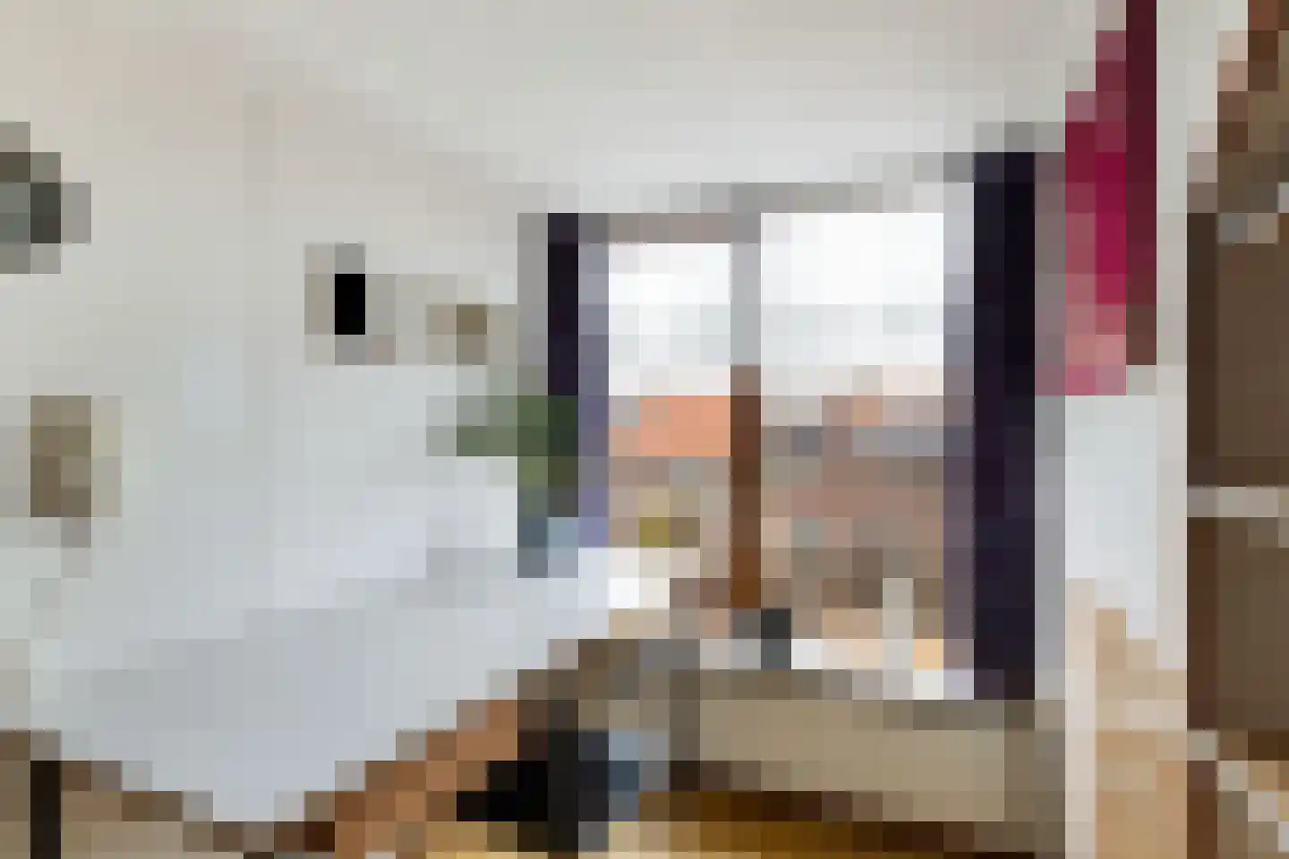 van Baerlestraat 28 Gouda thumbnail 39