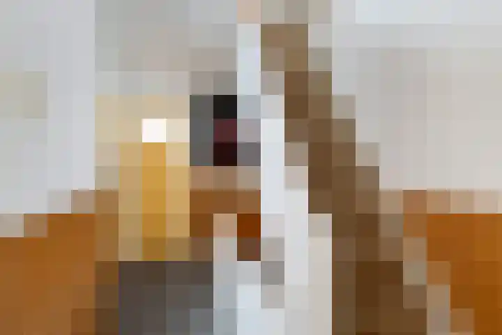 van Baerlestraat 28 Gouda thumbnail 39