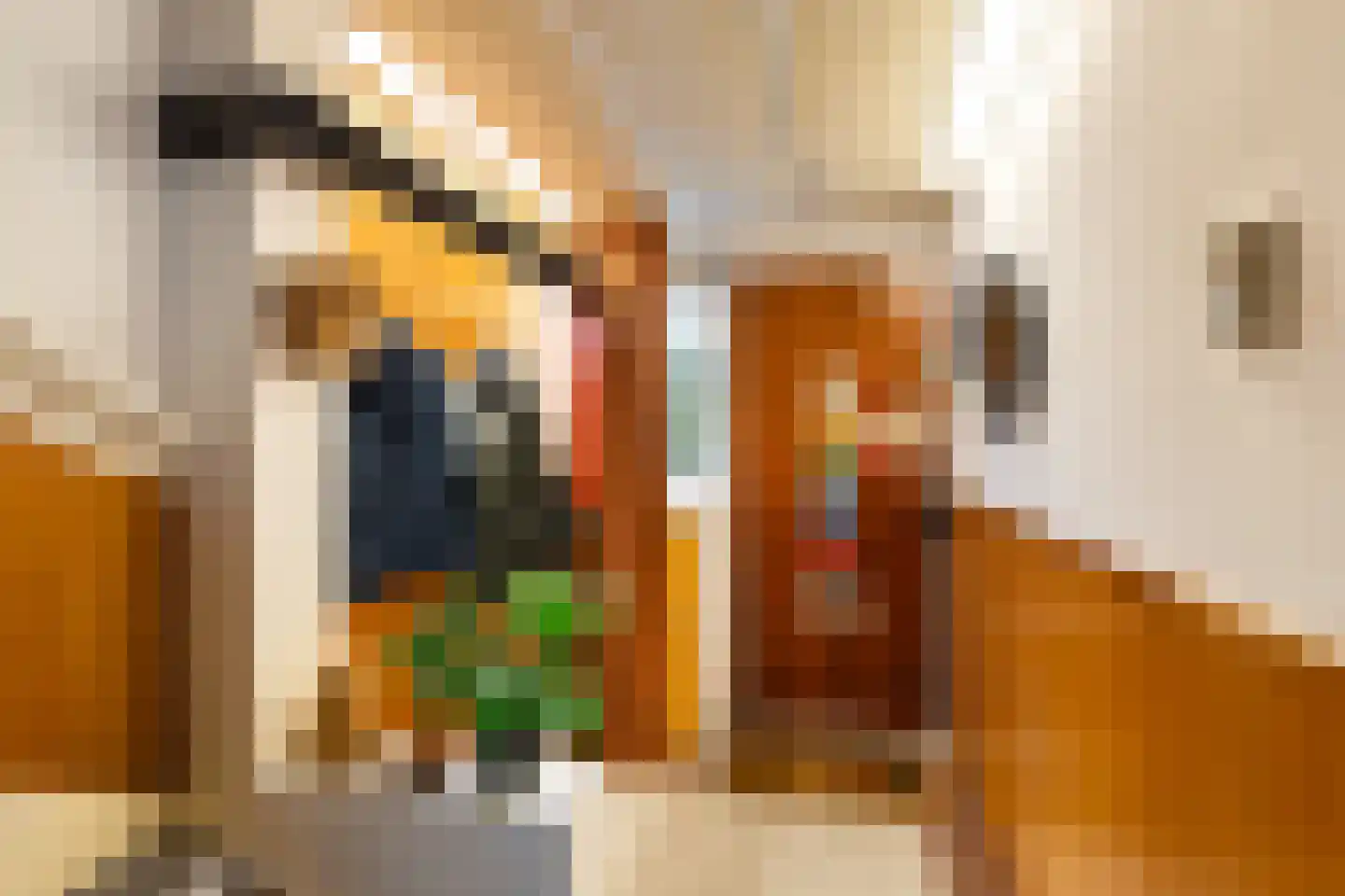 van Baerlestraat 28 Gouda thumbnail 8